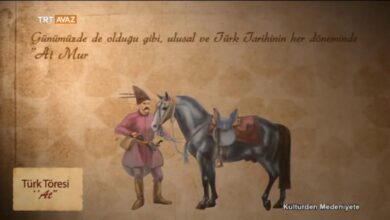 [Video] Türk Töresinde At Neyi İfade Eder? 18