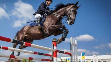 engel atlama, at sağlığı için neler yapılmalıdır