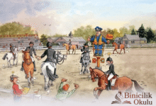 manej nedir, manej kuralları nelerdir?