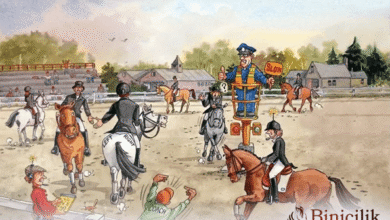 manej nedir, manej kuralları nelerdir?