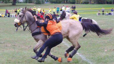 Binicilik Dersleri #1 İlk Defa At Bineceklere Tavsiyeler 2