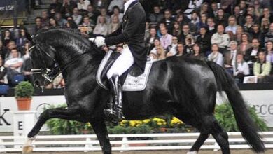 Gelmiş Geçmiş En İyi 10 Dresaj Atı ile Binicisi 6