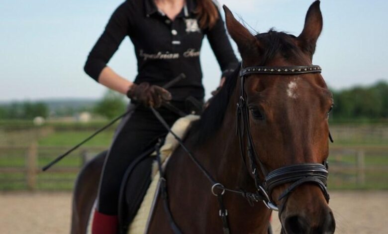 satilik atlar, at satın alma sırasında dikkat edilecek hususlar