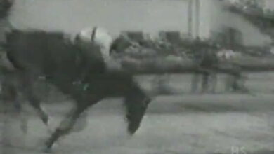 Dünya Engel Atlama Rekoru 4