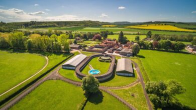 At Çiftliği Dediğin Böyle Olur: Park House 3