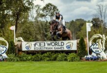 Binicilik Sporu Branşları Nelerdir? 7