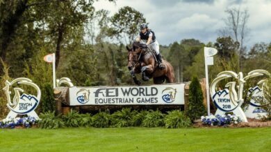 Binicilik Sporu Branşları Nelerdir? 6