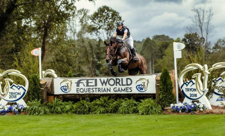 Binicilik Sporu Branşları Nelerdir? 1