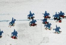 Cirit Atı Özellikleri ve Bakımı