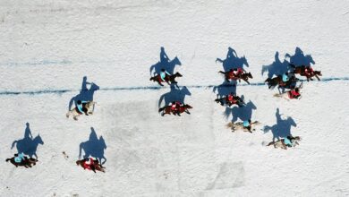 Cirit Atı Özellikleri ve Bakımı