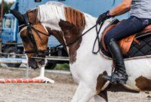 gem kantarma nedir ne demek