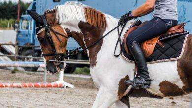 gem kantarma nedir ne demek