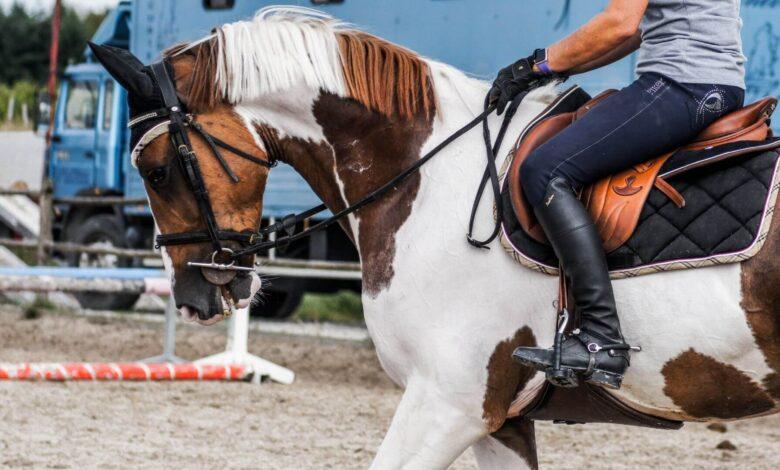 gem kantarma nedir ne demek