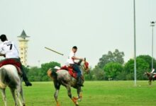 gökbörü türklerin ata sporudur. peki gökbörü nasıl oynanır