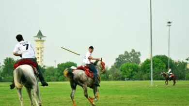 gökbörü türklerin ata sporudur. peki gökbörü nasıl oynanır