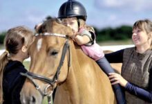 Hipoterapi - Atlı Terapi 17