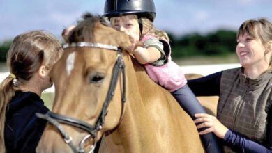 Hipoterapi - Atlı Terapi 3