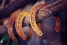 At Nalı Çakarken Dikkat Etmeniz Gerekenler 14