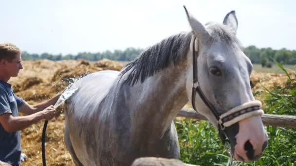 günlük at bakımı yaparken nelere dikkat edilir? At Nasıl Tımar Edilir