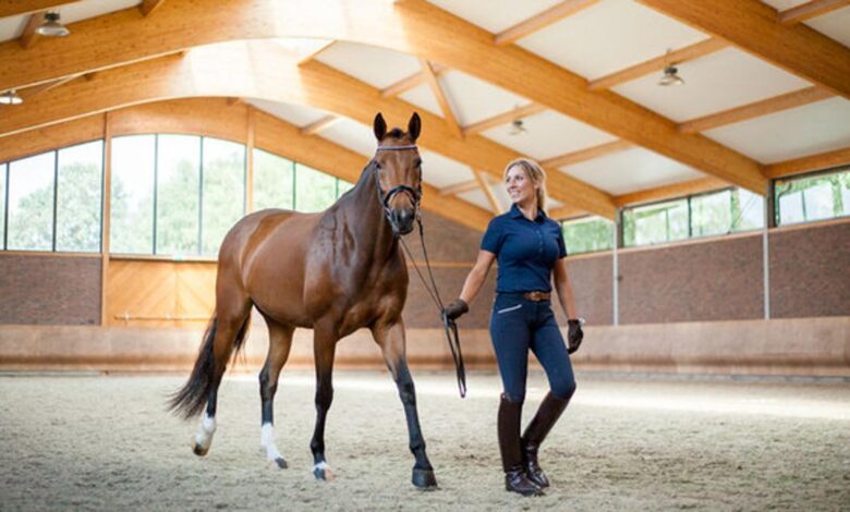 Atlarda Solunum Sistemi Tedavisi 1