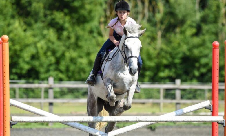Binicilik Sporu, Tarihi, Kuralları, Faydaları 1