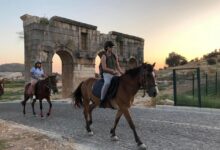 Ankara'da At Binebileceğiniz 8 At Çiftliği