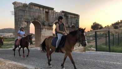 Ankara'da At Binebileceğiniz 8 At Çiftliği