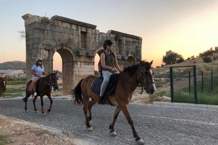 Ankara'da At Binebileceğiniz 8 At Çiftliği