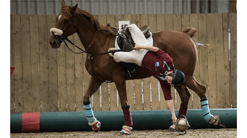 atlı spor horseball