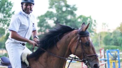 istanbul at çiftliği