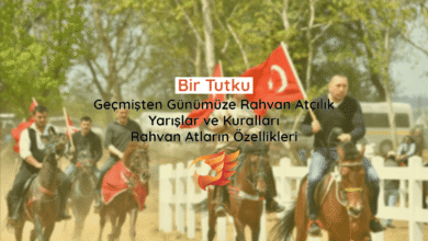 rahvan at yarışları hakkında bilgiler