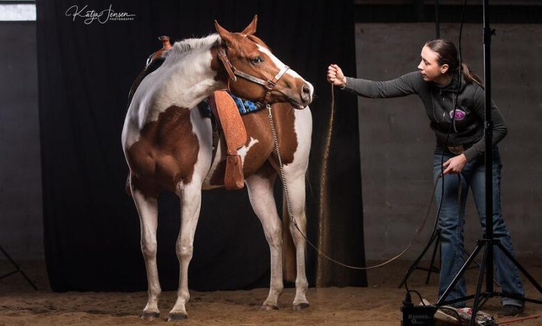 ilginç at fotoğrafları