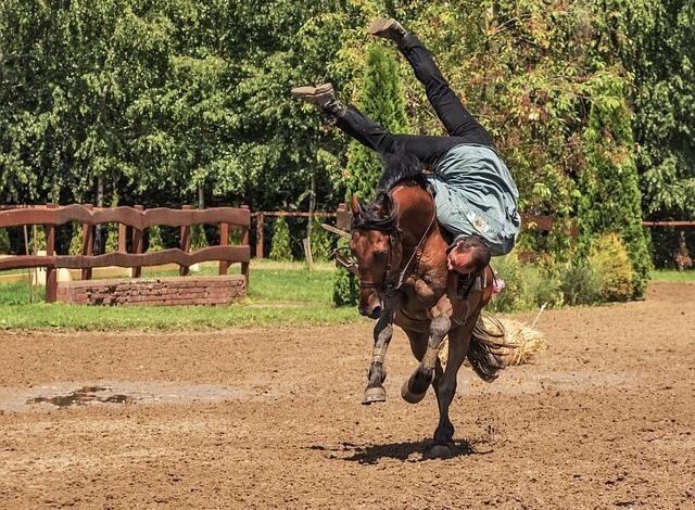 Ata Nasıl Binilir ve İnilir? Videolu Anlatım 1