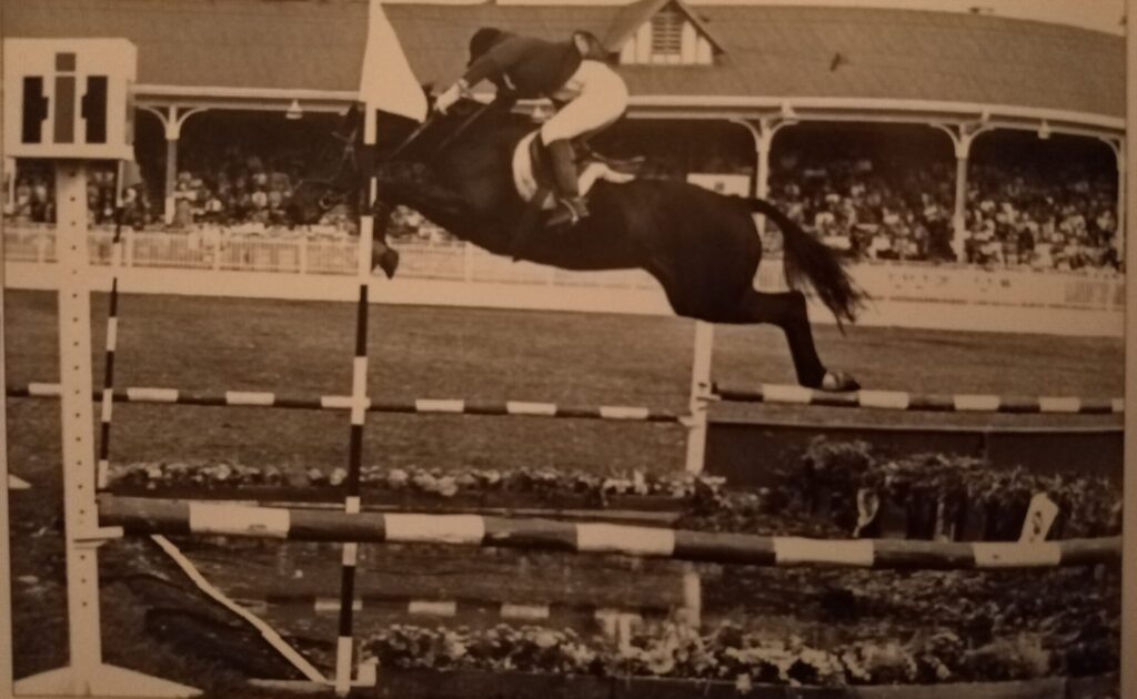 Dünyanın ve Tarihin Rekor Kıran 7 Atı 1