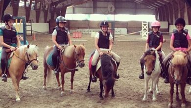 İstanbul'da At Binebileceğiniz 5 Binicilik Kulübü