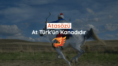 at türk'ün kanadıdır sözü kime ait