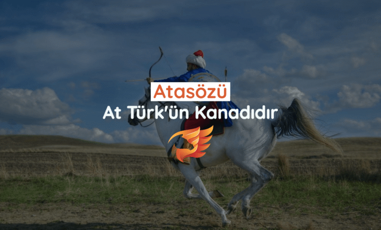 at türk'ün kanadıdır sözü kime ait