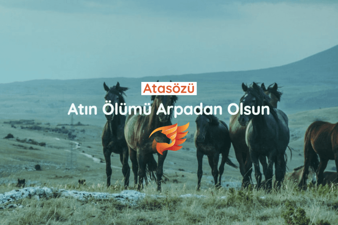 atın ölümü arpadan olsun sözünün anlamı nedir