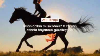 binicilik ile atlı terapi