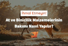 at ve binicilik malzemeleri bakımı