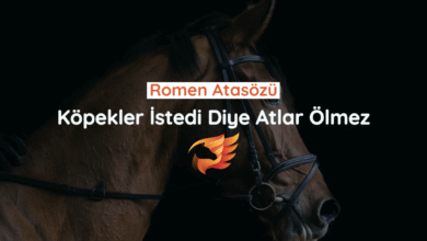 köpekler istedi diye atlar ölmez sözünün anlamı nedir