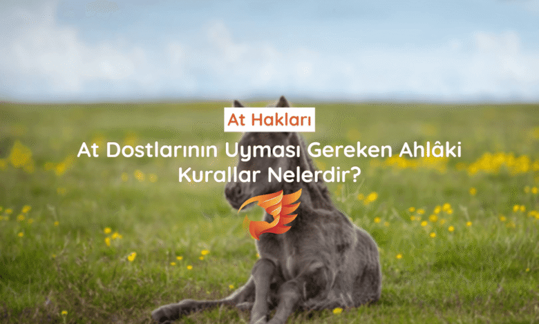 at hakları ve hayvan hakları nelerdir