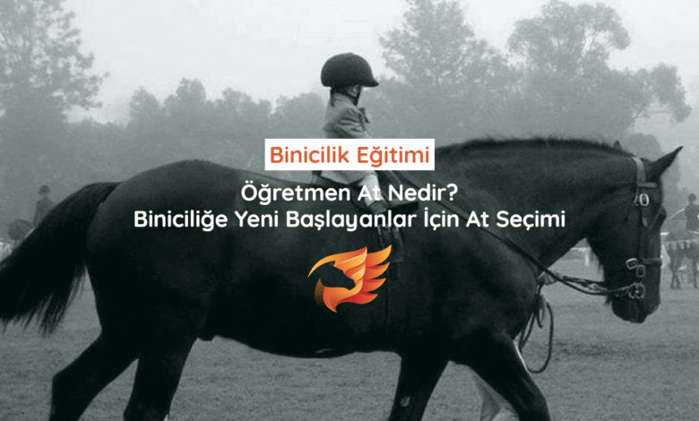 binicilik eğitimi at seçimi