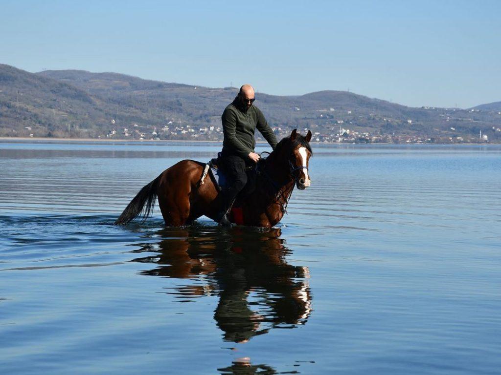 kartepe at çiftliği