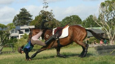 Komik At Kazaları - Attan Düşenler 5