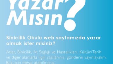 Binicilik Okulu'nda Yazar Mısın? 9