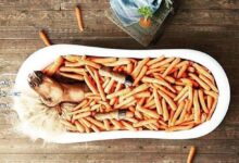 atların sevdiği besinler