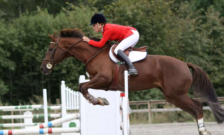 binicilik bir spor mudur?