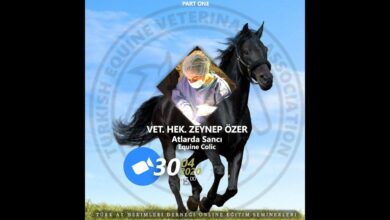 Atlarda Sancı - Kolik 1