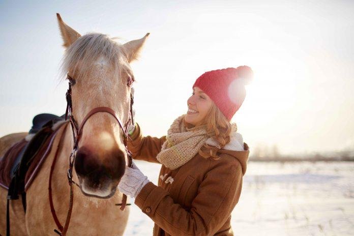 Bir Atın Sizi Sevdiğini ve Size Güvendiğini Gösteren 8 İşaret